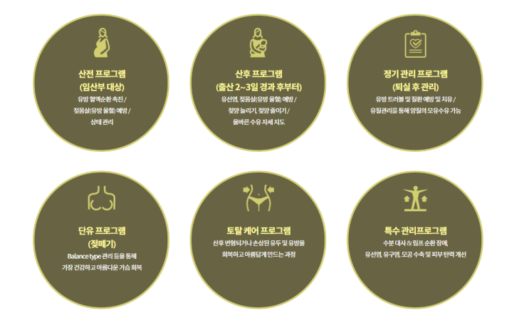 강북 강서 산후조리원 비교 | 올리비움, 용산 트리니티, 디어원, 에빠토르베르쏘 (여전히 고민중인 사람)