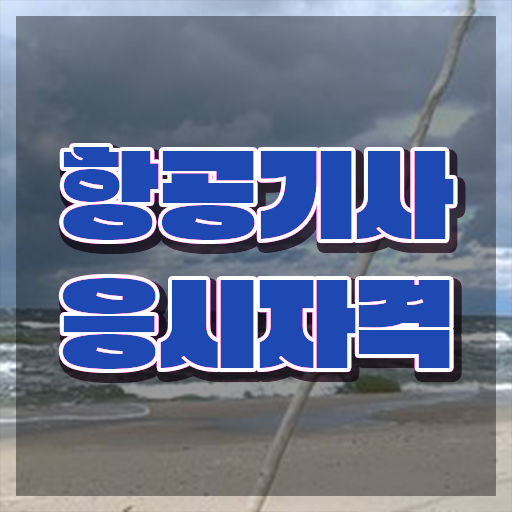  항공기사 응시자격 서류제출 항공기사 자격요건 온라인 과정으로 반 년만에 준비한 방법