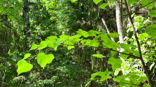  신도시 소자본 프랜차이즈 창업 오븐마루 프랜차이즈 원재료 품질 보장 은퇴자 창업 700만 고객 확보 방문해보세요