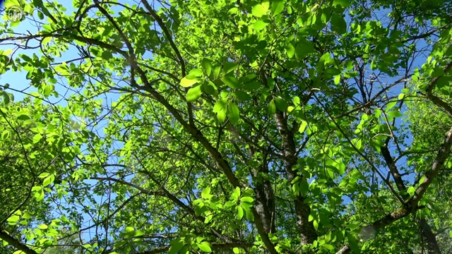  기술 자격증 추천 , 부동산권리분석사 조건없이 간단하게 끝냈던 방법
