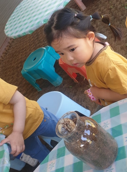  32m 2w) 풍뎅이 애벌레 키우기, 서울숲 팝업전시, 포포인츠구로 조카 돌잔치