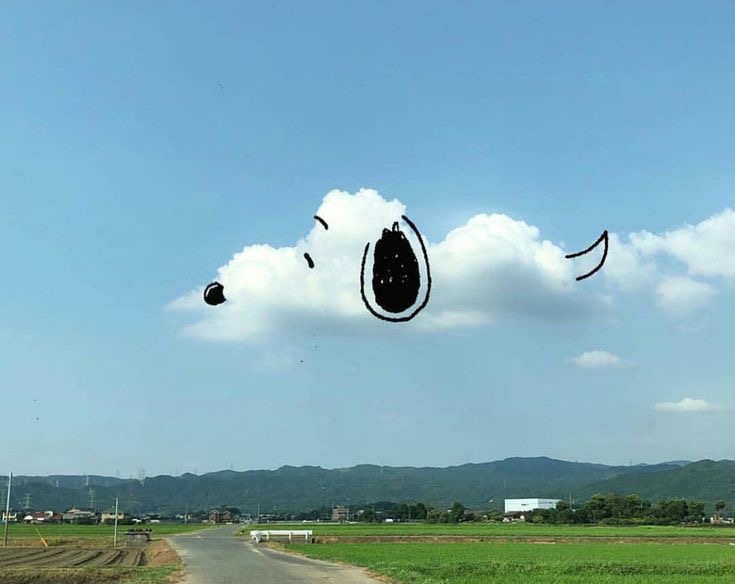  두서없는 일상, 포토덤프 샷다내려