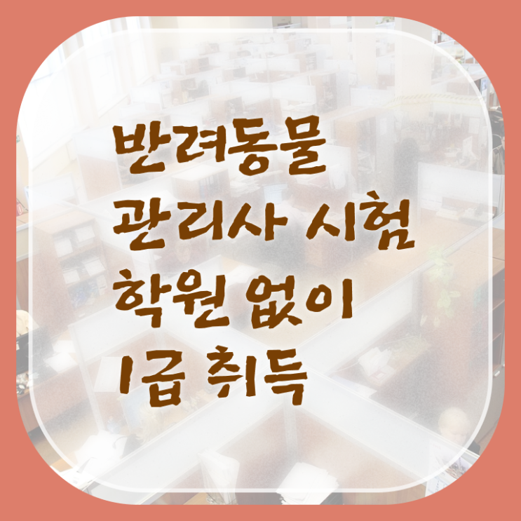  고양이 반려동물 등록 , 반려동물관리사 자격증 직장인도 쉽게 준비한 방법 추천합니다