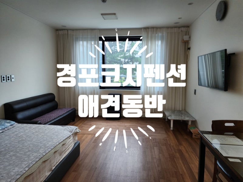 사진 7