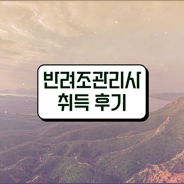  모란앵무 소리 , 반려조관리사 자격증 시험준비 완벽 정리