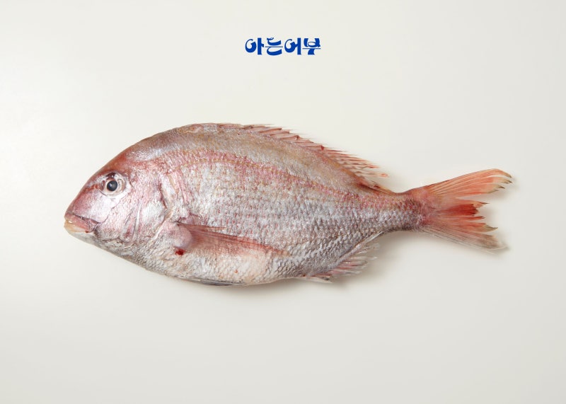참돔의 모든 것, 양식 vs 자연산 구분법, 참돔찜 레시피