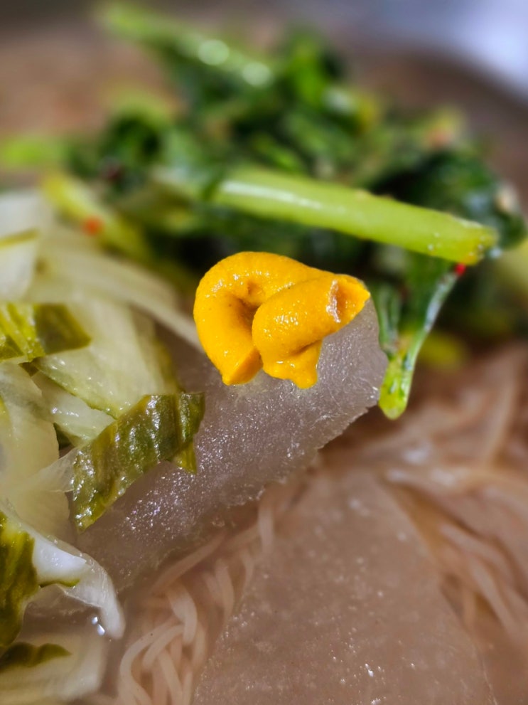  맛있는 다시다 냉면 만들기 실전편(재료비 천원)