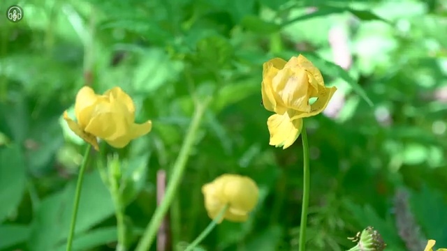 비용없이 온라인으로 정리수납전문가자격증 합격 후기 체크해보세요