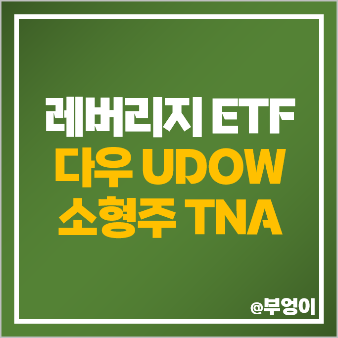 미국 3배 레버리지 ETF 다우 존스 지수 UDOW 소형주 TNA 주가 배당 수익률 미국 3배 레버리지 ETF 다우 존스 지수 UDOW 소형주 TNA 주가 배당 수익률