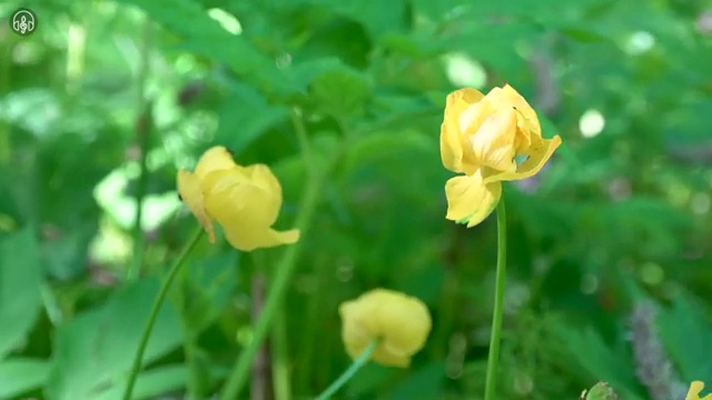 침실 인테리어 빠르게 견적받는 방법 , 라티크 에게 직접 물어보세요. (무료 서비스)