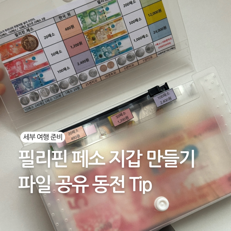 필리핀 다이소 페소 지갑 만들기 파일 공유 세부 여행 준비