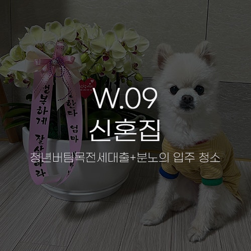  [W.09 신혼집] 청년버팀목전세대출과 이사 준비 그리고 분노의 입주 대청소...