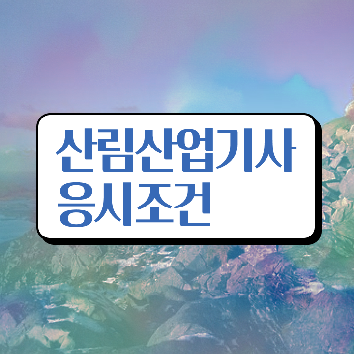  산림산업기사 실기 후기 산림산업기사 취득자격 독학으로 반 년만에 완료한 방법