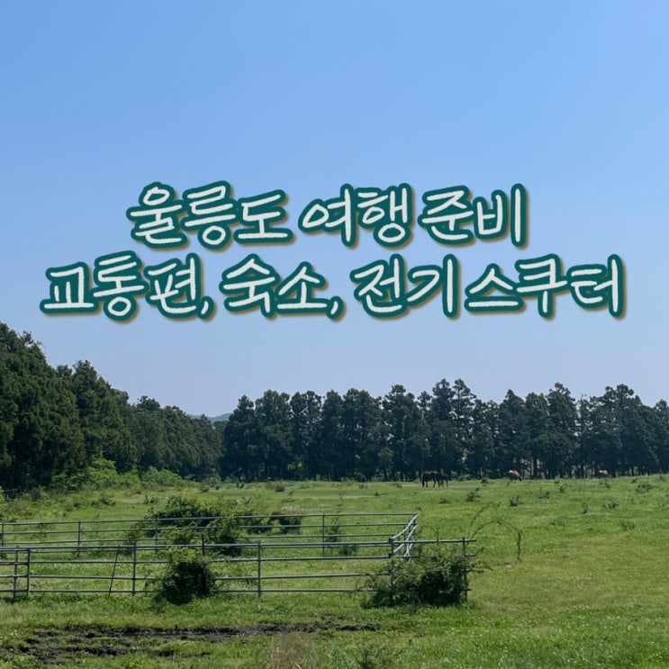  울릉도 여행 준비 (교통편, 숙소, 전동스쿠터 예약, 울루랄라 바다포차)