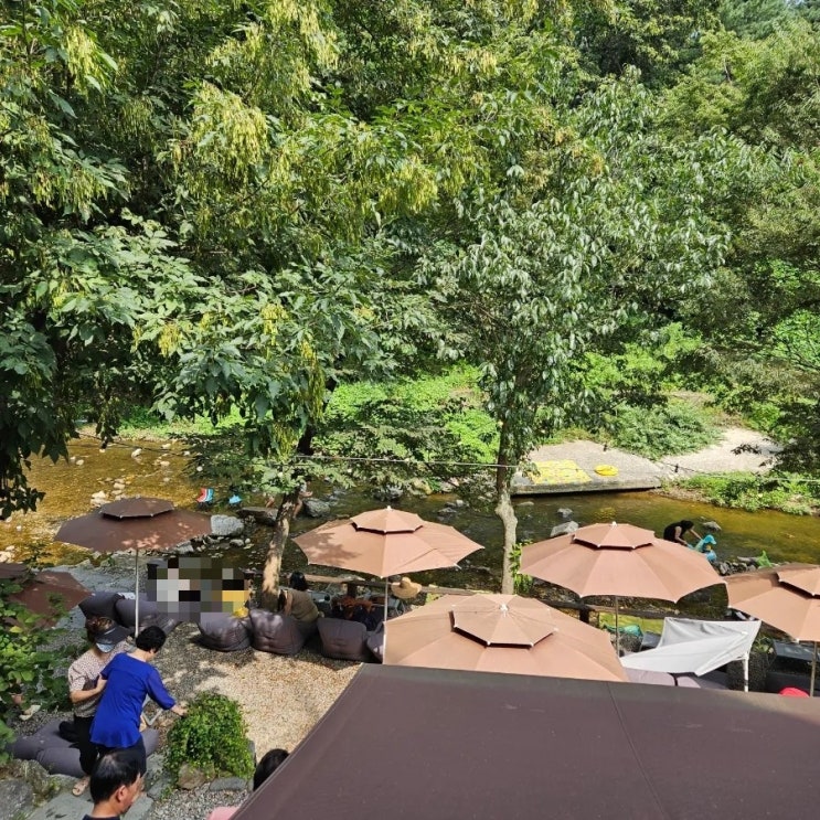  [용인] 계곡뷰 감성 가득한 고기리 브런치 카페 "카페테라스478" 방문 후기