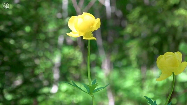 부동산시험 날짜 상세한 부동산권리분석사자격증 취득한 노하우 확인하고 가세요