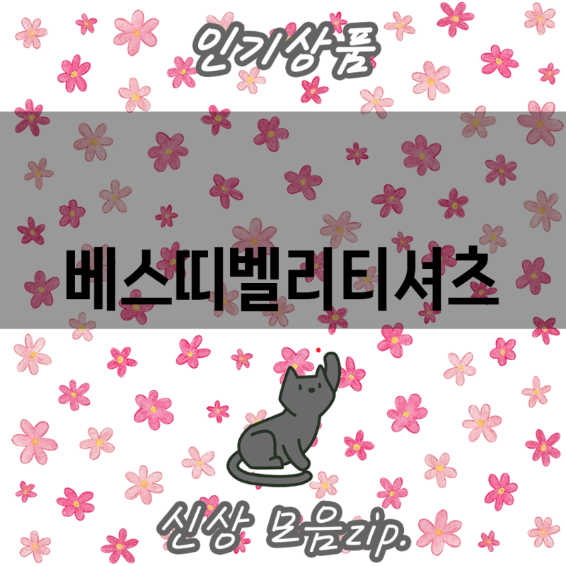 베스띠벨리 티셔츠 일상룩 완성하는 3가지 스타일 분석 장점과 활용법 비교
