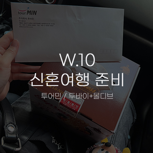  [W.10 신혼여행 준비] 투어민 두바이+몰디브 허니문 박람회 상담 계약 후기 (팜투어 견적 비교)