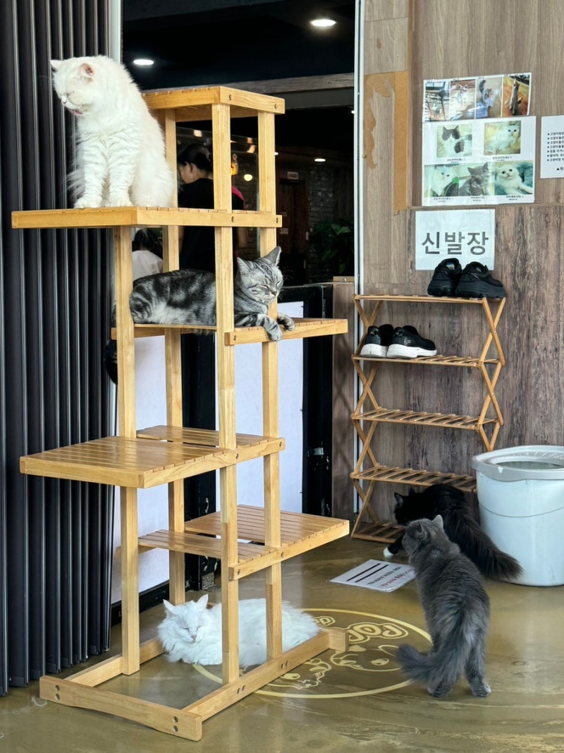 사진 4