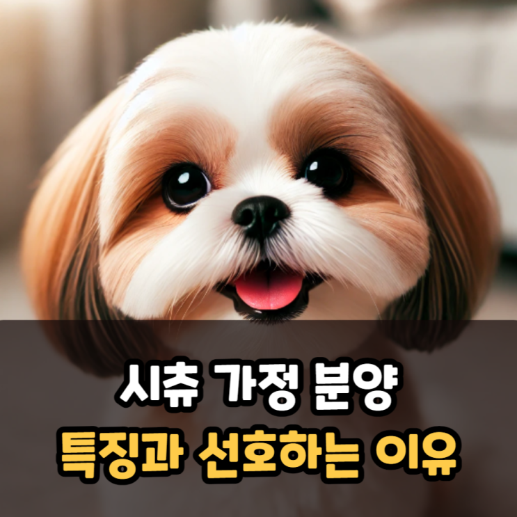  시츄 가정 분양, 특징과 선호하는 이유