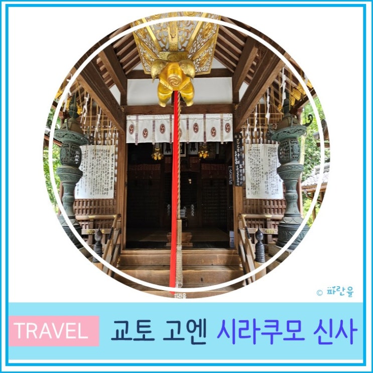  오사카 근교 여행 교토 고엔 가볼 만한 곳 시라쿠모 신사 후기