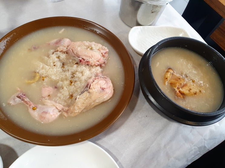 판교 삼계탕 분당 삼계탕 맛집 운중본가 장수촌 누룽지백숙