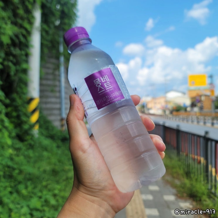 몽베스트 가격 및 칼로리 내돈내산 리뷰