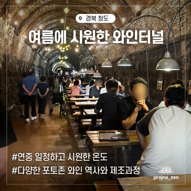  여름 시원한 여행지 추천 청도 와인터널 무료입장 주차꿀팁