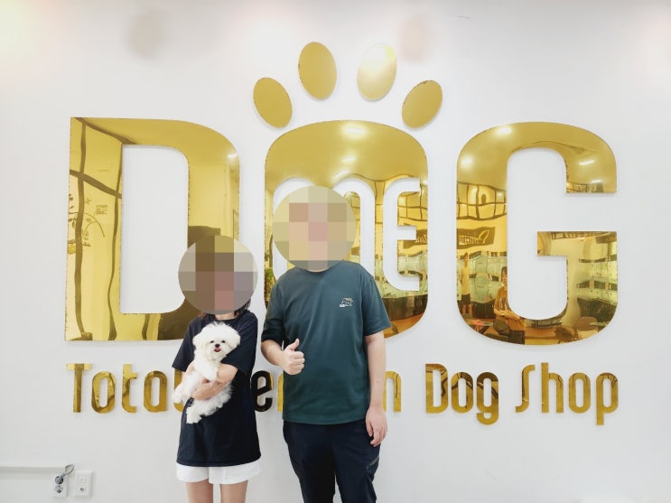   말티즈, 따뜻한 가정으로 분양 완료했어요! / 강아지분양 세종애견샵 세종시강아지분양 조치원애견샵 오송 강아지분양 애견샵