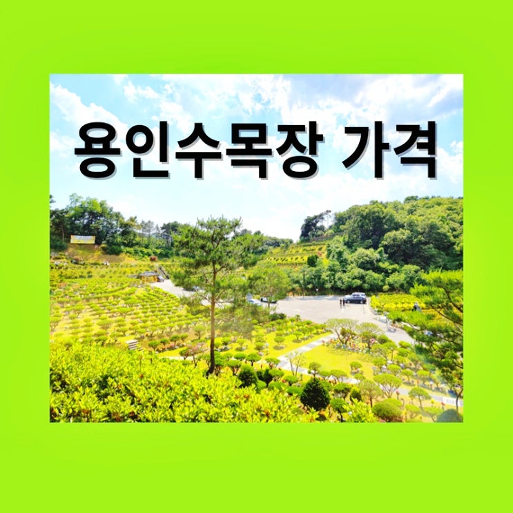  용인수목장 가격과 핵심적 중점