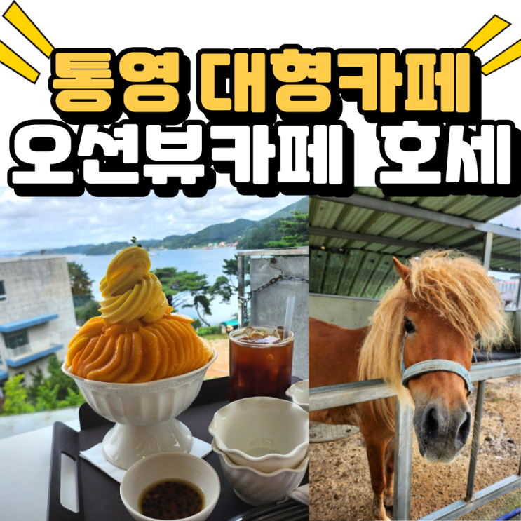  통영 대형카페 오션뷰카페 아이랑 말 먹이주기 체험 생망고빙수 맛있는 호세