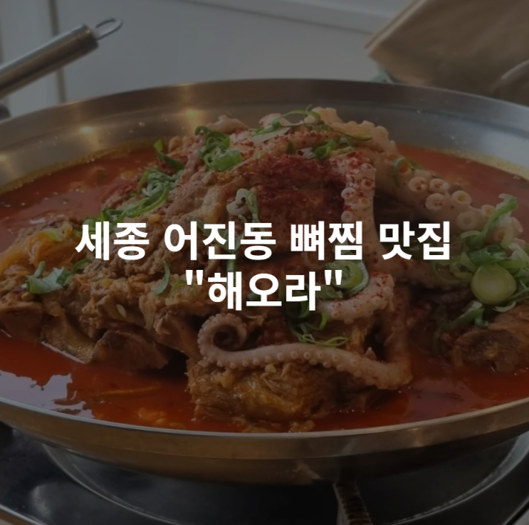  [세종 어진동] 묵은지낙지뼈찜 맛집 해오라 내돈내산 솔직 리뷰