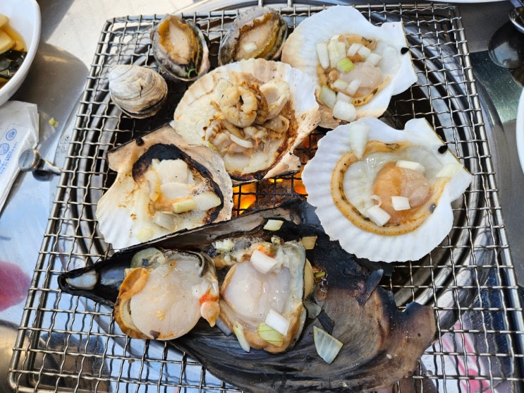  부산 송정 포항조개구이 송정해수욕장 애견동반 맛집 가볼만한곳 추천