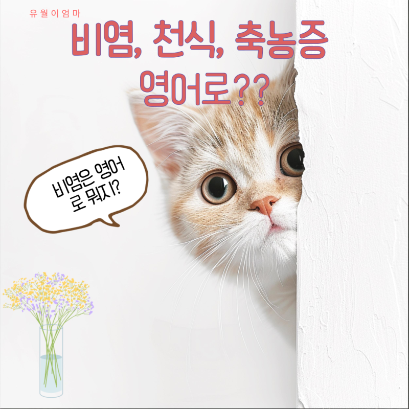 비염 천식 축농증 영어로
