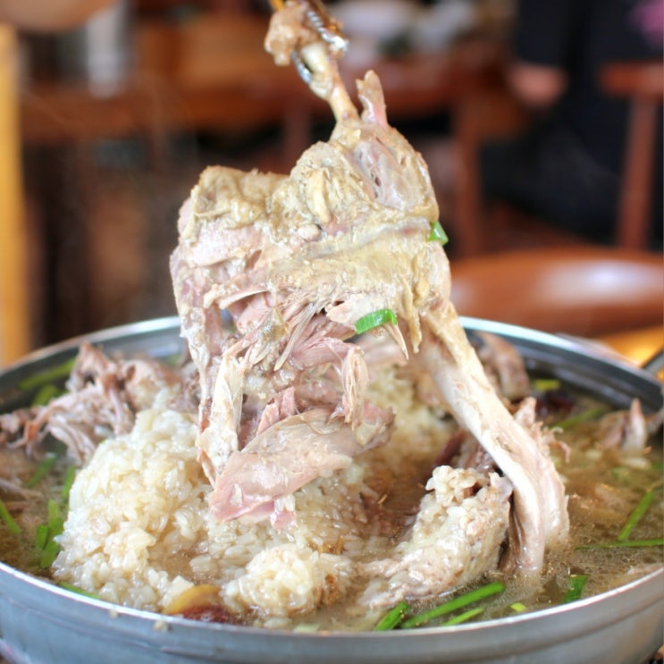  충주 백숙 맛집 샤브락 안림동 능이오리백숙 삼계탕