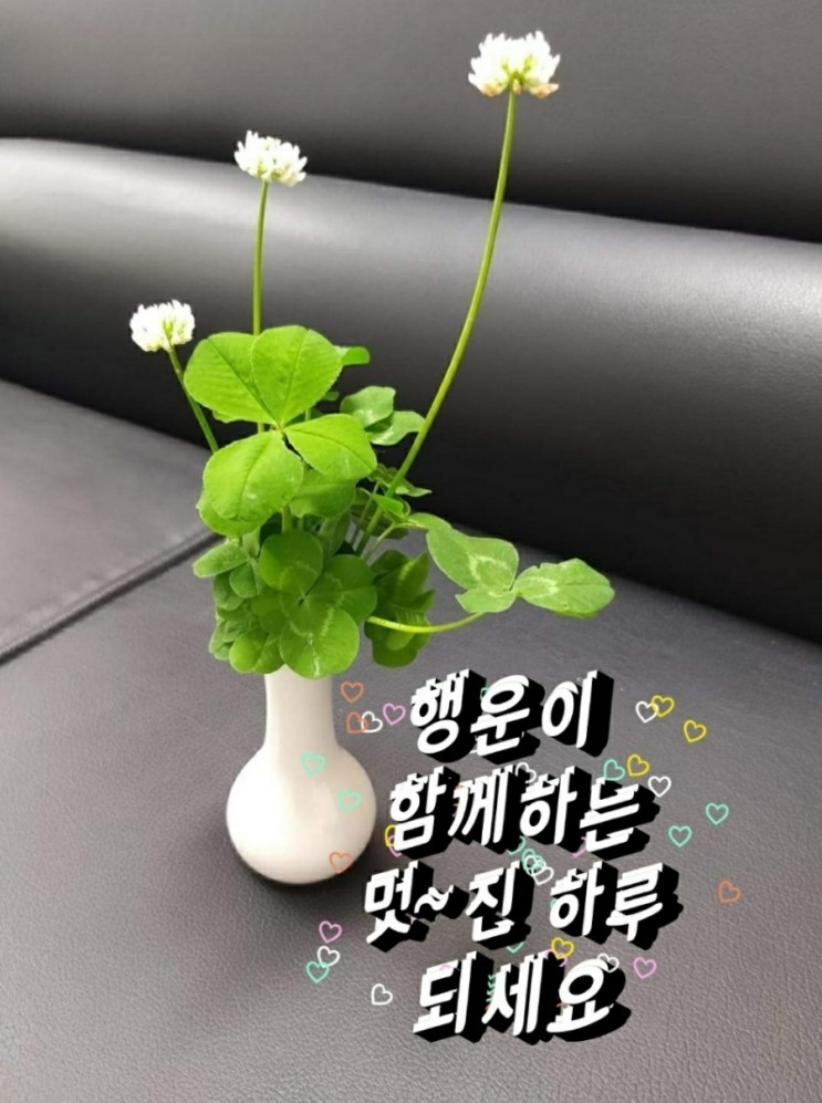 신음하는 전국 바다…"동시다발적 <b>여름</b>철 자연재해 이례적"