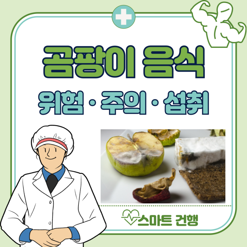곰팡이 핀 음식 먹으면 안 될까? 먹어도 되는 음식 : 치즈, 잼 곰팡이