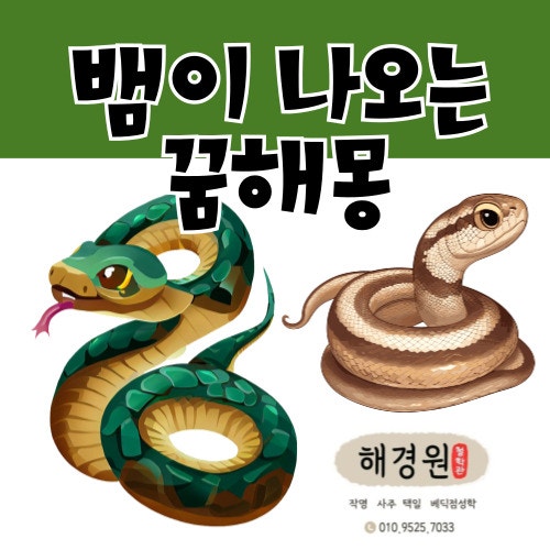 뱀 꿈해몽 뱀잡는꿈 뱀나오는꿈 상황별로 알아봐요