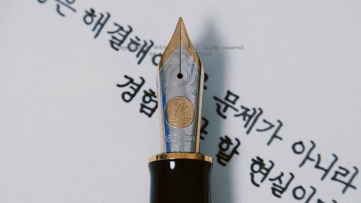  인생은 현실이다 (펠리칸 M1000 EF닙으로 필사하기)