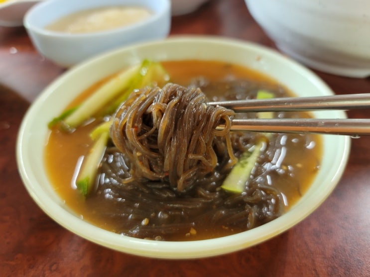  건강한 맛이 있는 포천맛집, 지장산칡냉면
