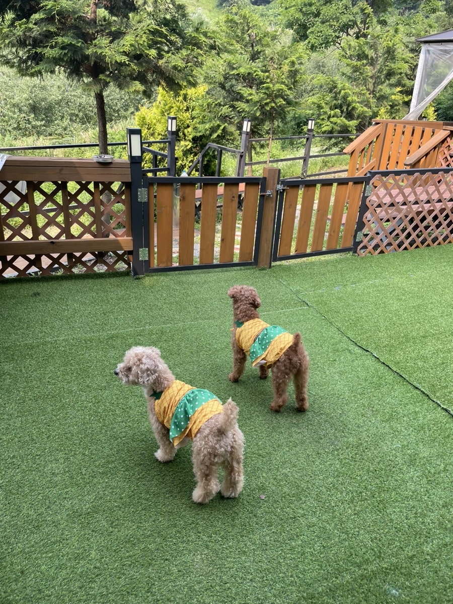 스톤아일랜드펜션 사진 4