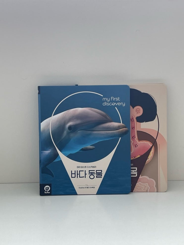  유아백과 두두스토리 마이 퍼스트 디스커버리 세돌아기 전집