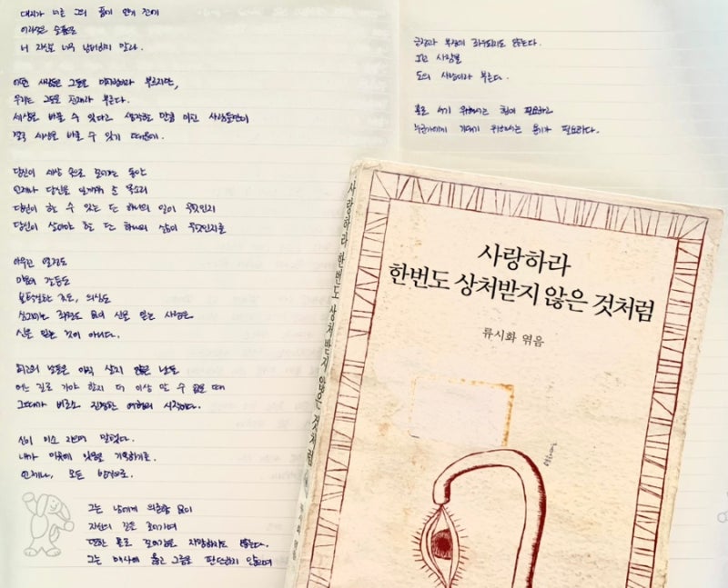 [필사노트 27] 류시화 책 사랑하라 한번도 상처받지 않은 것처럼 : 네이버 블로그
