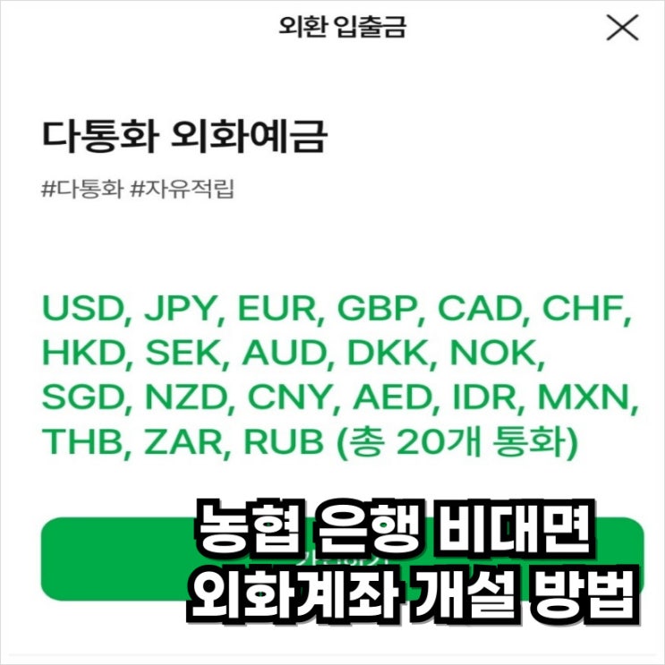 NH<b>농협</b> 외환 계좌 만들기 스마트<b>뱅킹</b> 어플로 <b>비대면</b> 다통화... 