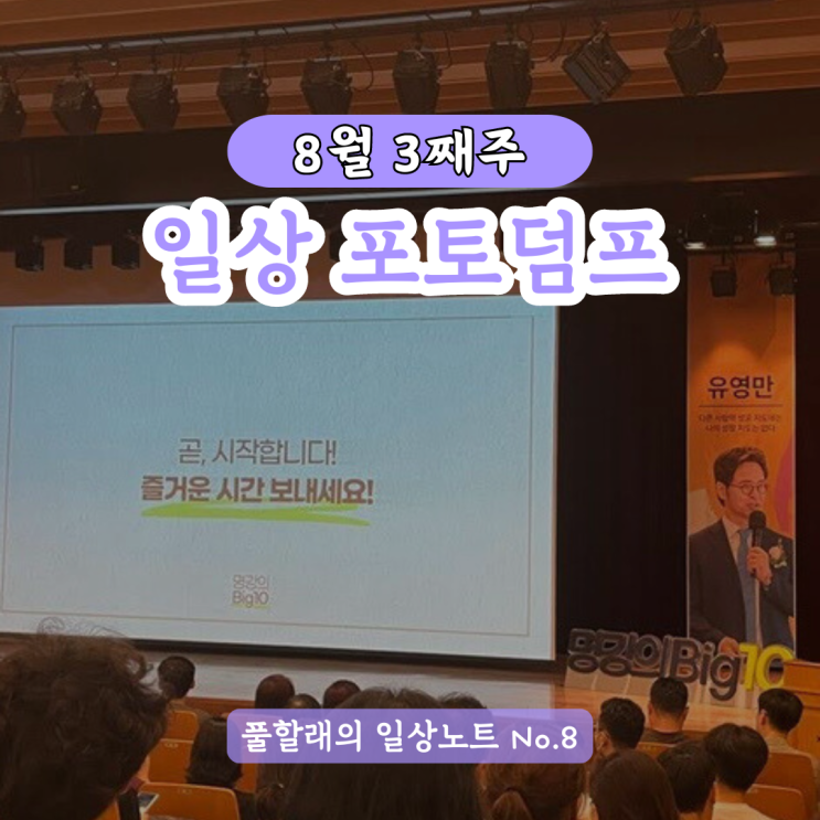  교보빌딩 광화문 대산홀에서 열린 보라쇼 유영만 교수 북토크 후기(코나투스)