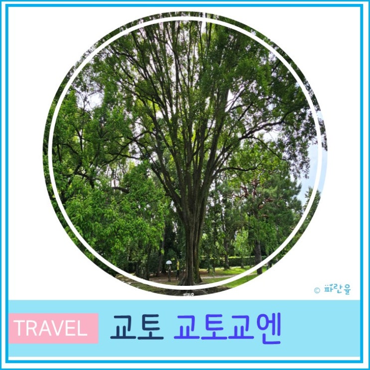  오사카 근교 간사이 여행 가볼 만한 곳 교토 교엔 산책 후기