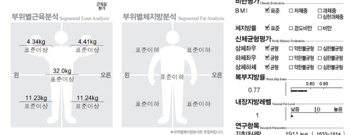  [다이어트] 109kg -> 77kg 20년 유지중인 평생 다이어터의 다이어트 꿀팁 초급편
