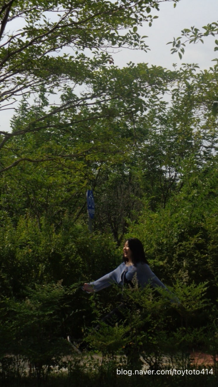  [Diary] 너무 오랜만의, 근황