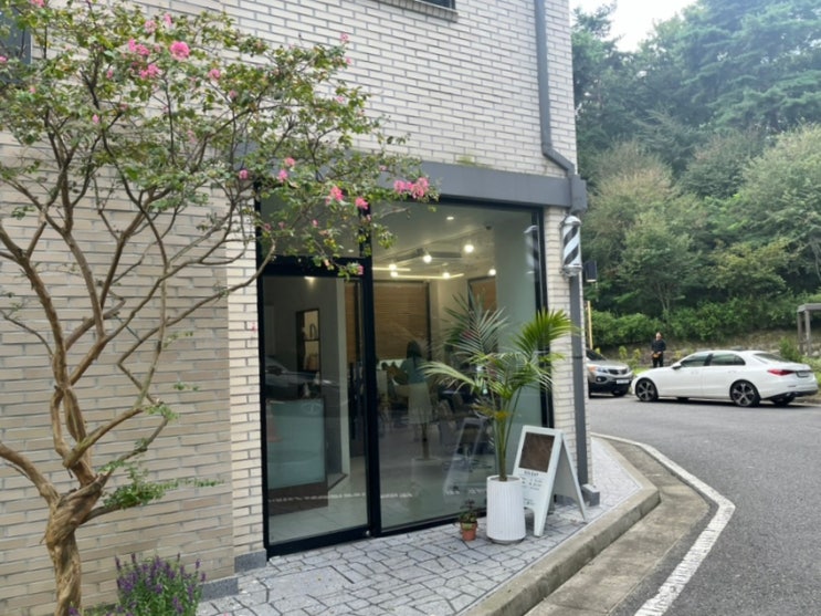  솔리프 남자 커트 드롭컷에서 필러스컷으로 변경 후기