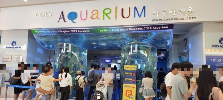  코엑스 아쿠아리움 동물의 숲 콜라보 방문 후기